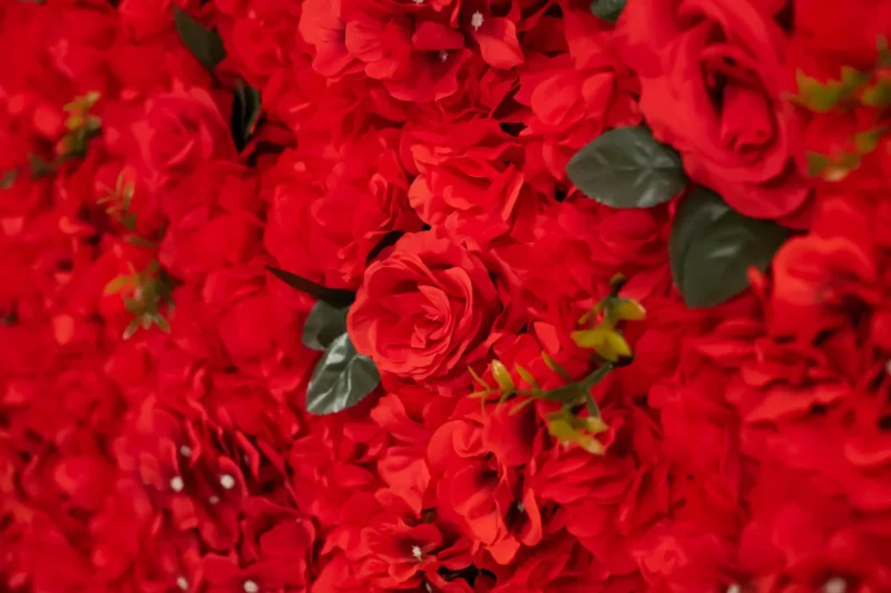 rote Flowerwall Blumenwand mieten, rote Rosen Fotohintergrund Backdrop für Hochzeiten, Henna-Abend, Feiern mieten - Hochzeitsdekoration mieten in Mannheim, Heidelberg, Rhein-Neckar